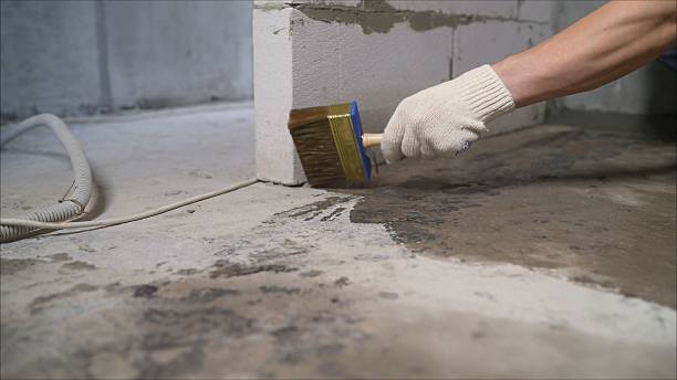 Top rated local Waterproofing specialists in Allentown, NJ